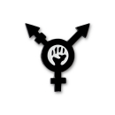 trans*revolution - pin