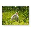 Tiere einfach leben lassen - wall calendar 2025