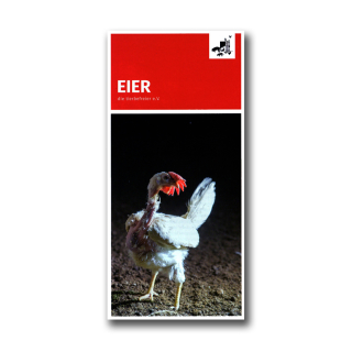 Eier - Flyer (die tierbefreier e. V.)